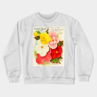 Vick's Garden and Floral Guide (1898) Crewneck Sweatshirt